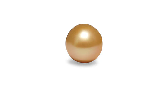 Golden South Sea Pearl 12.5mm