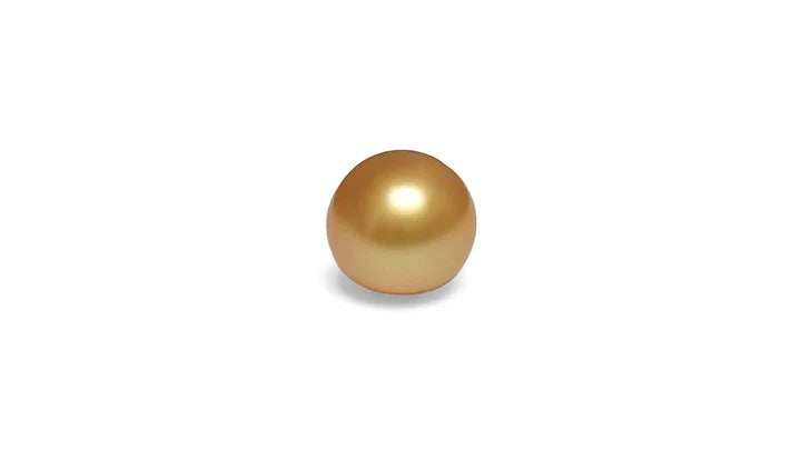 Golden South Sea Pearl 10.2mm