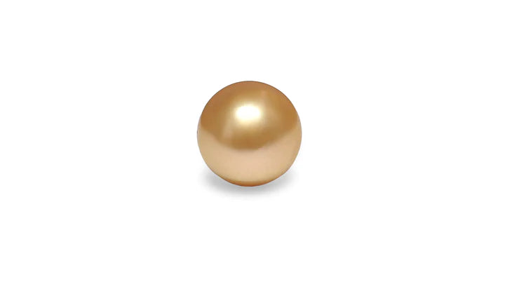 Golden South Sea Pearl 12.7mm